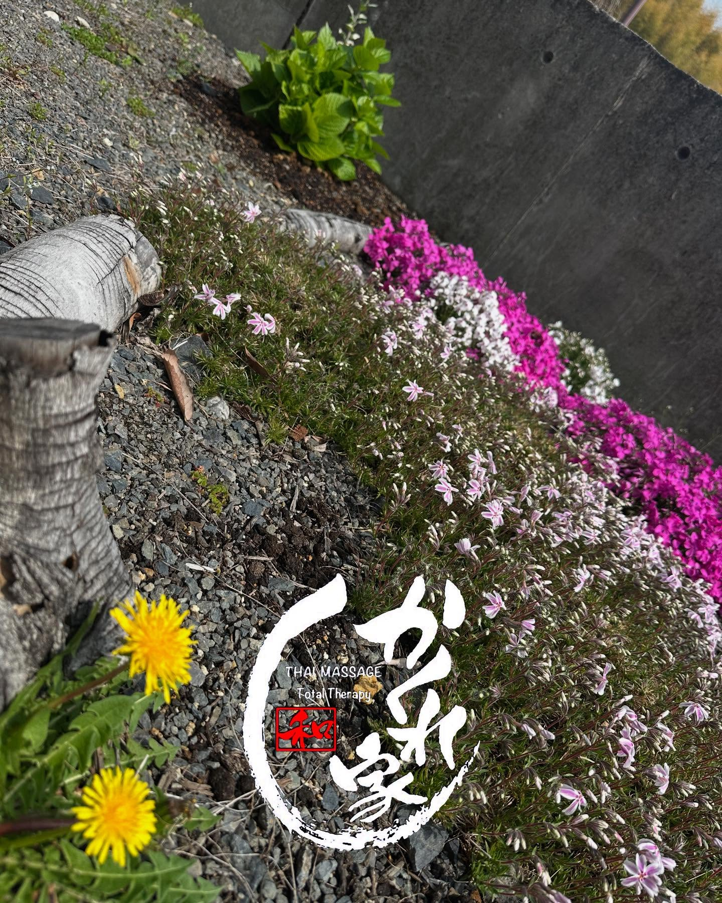 タイ古式マッサージ「かくれ家 和」です