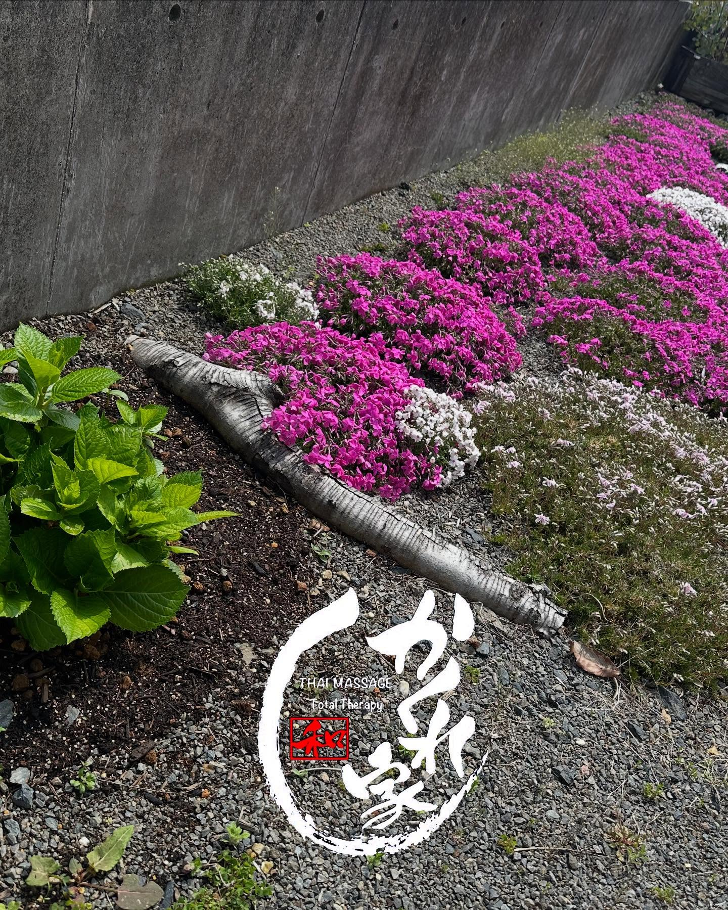 タイ古式マッサージ「かくれ家 和」です