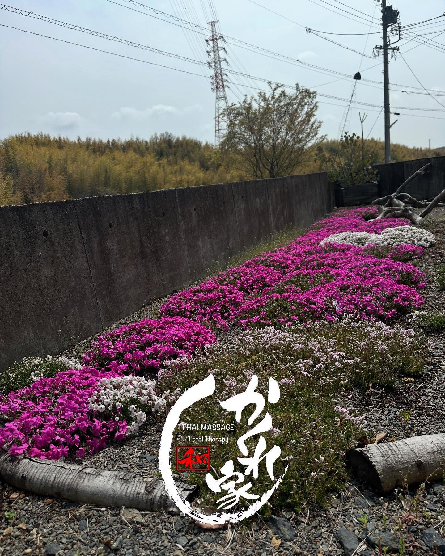 タイ古式マッサージ「かくれ家 和」です