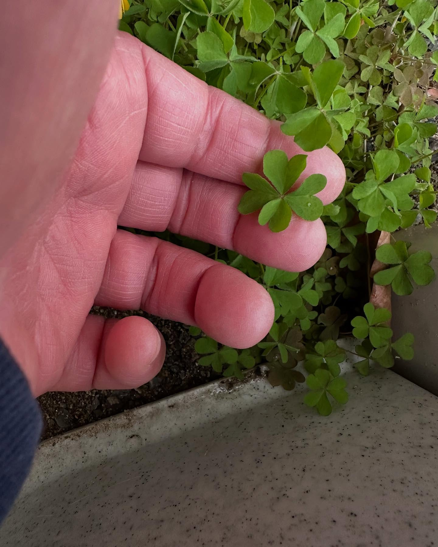 タイ古式マッサージ「かくれ家 和」です