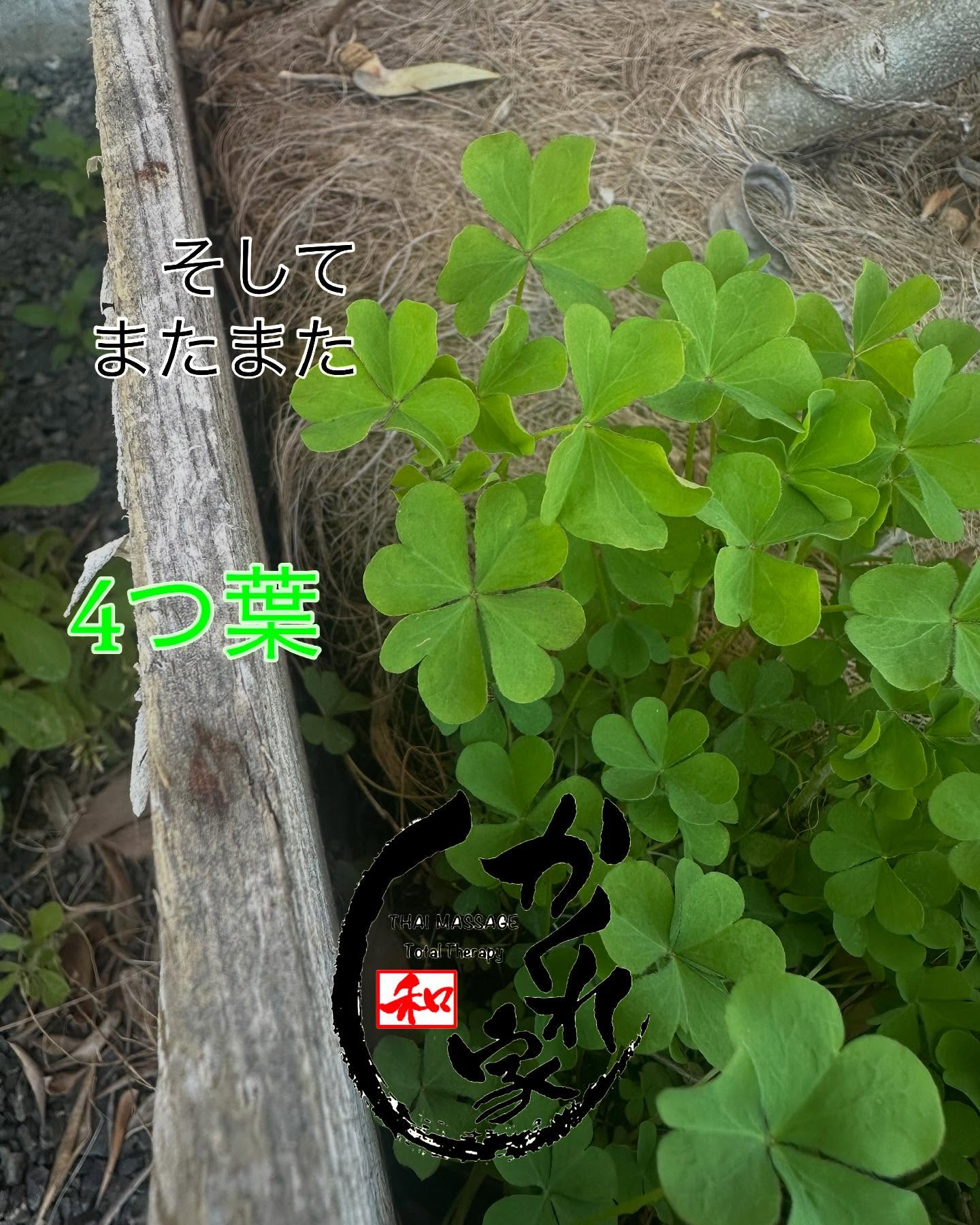 タイ古式マッサージ「かくれ家 和」です