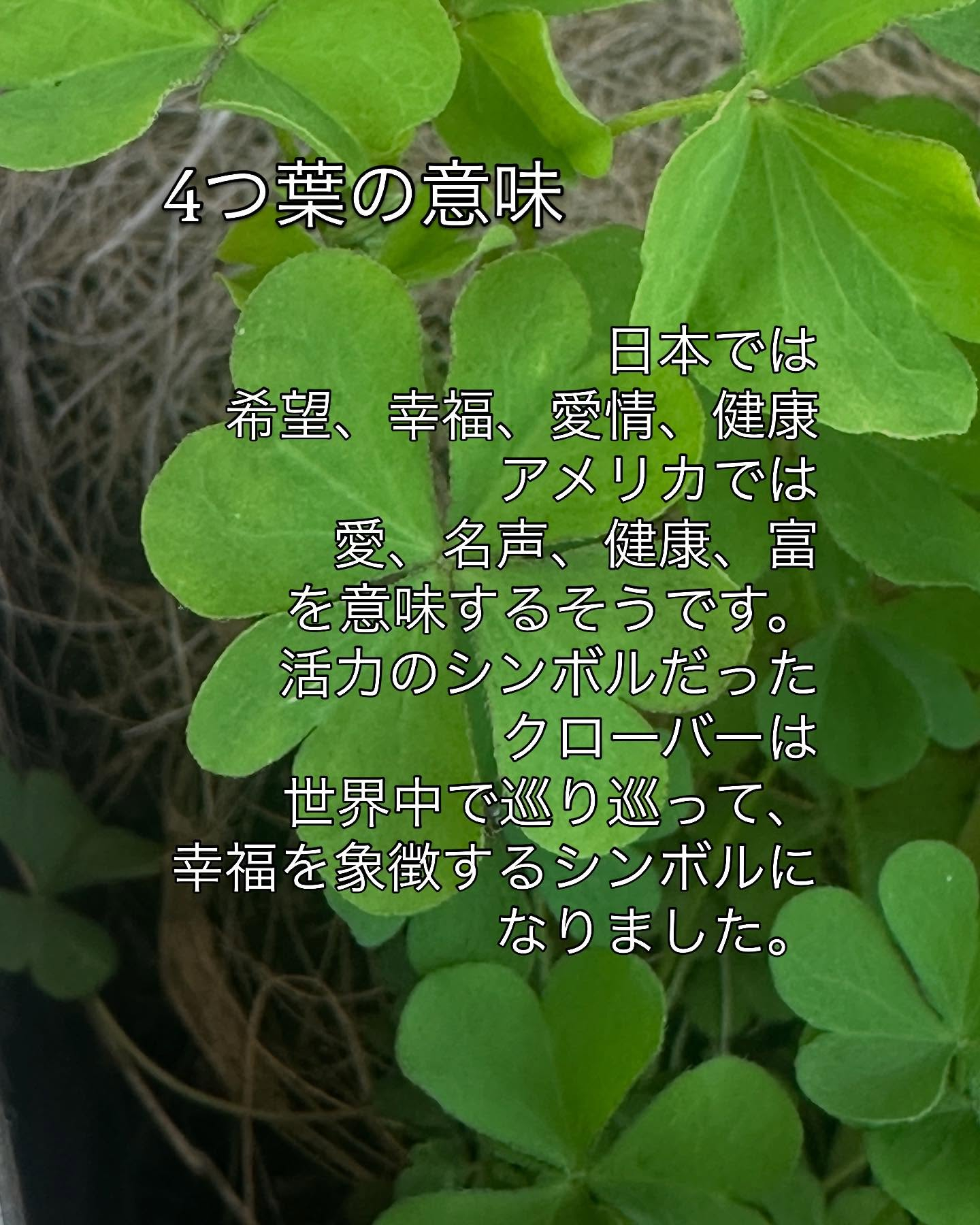 タイ古式マッサージ「かくれ家 和」です
