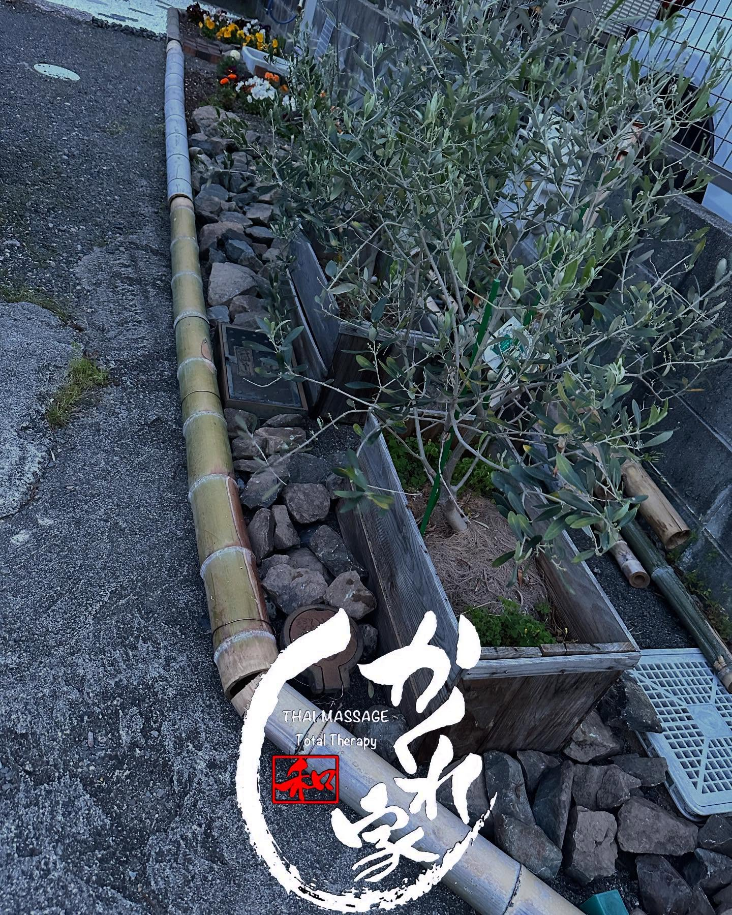 タイ古式マッサージ「かくれ家 和」です