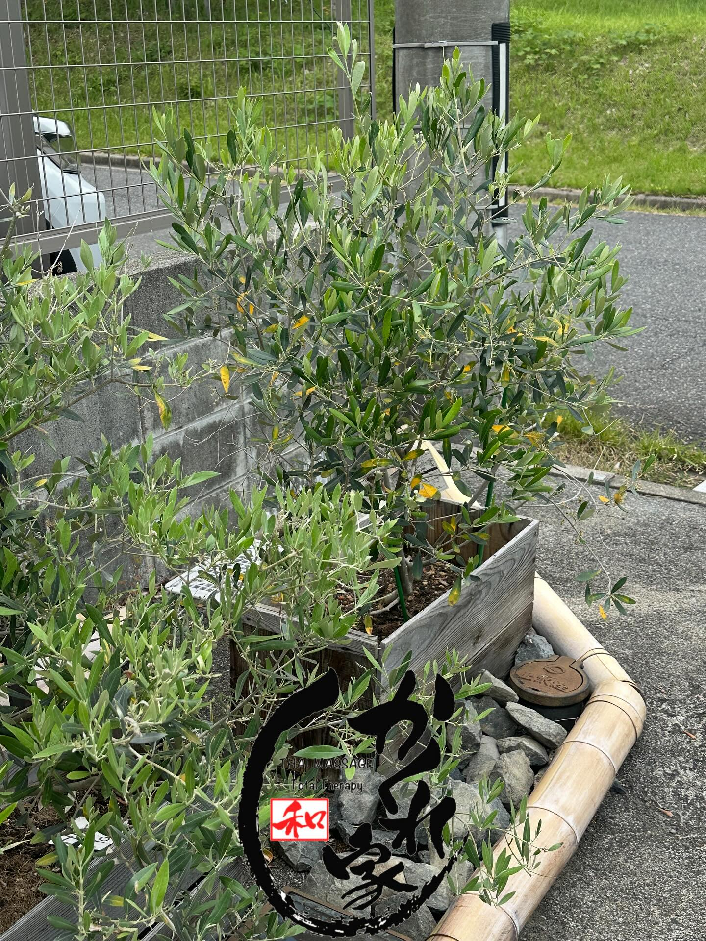 タイ古式マッサージ「かくれ家 和」です