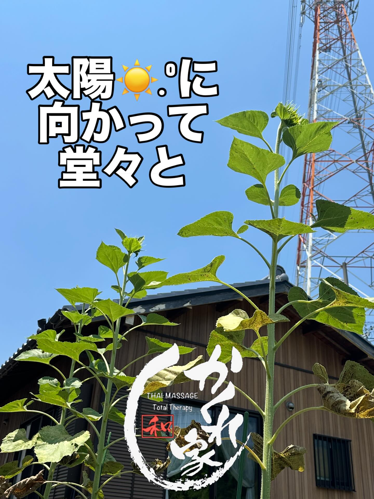 タイ古式マッサージ「かくれ家 和」です