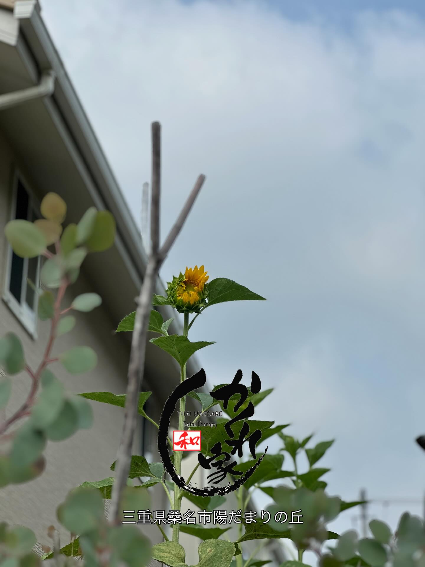 タイ古式マッサージ「かくれ家 和」です