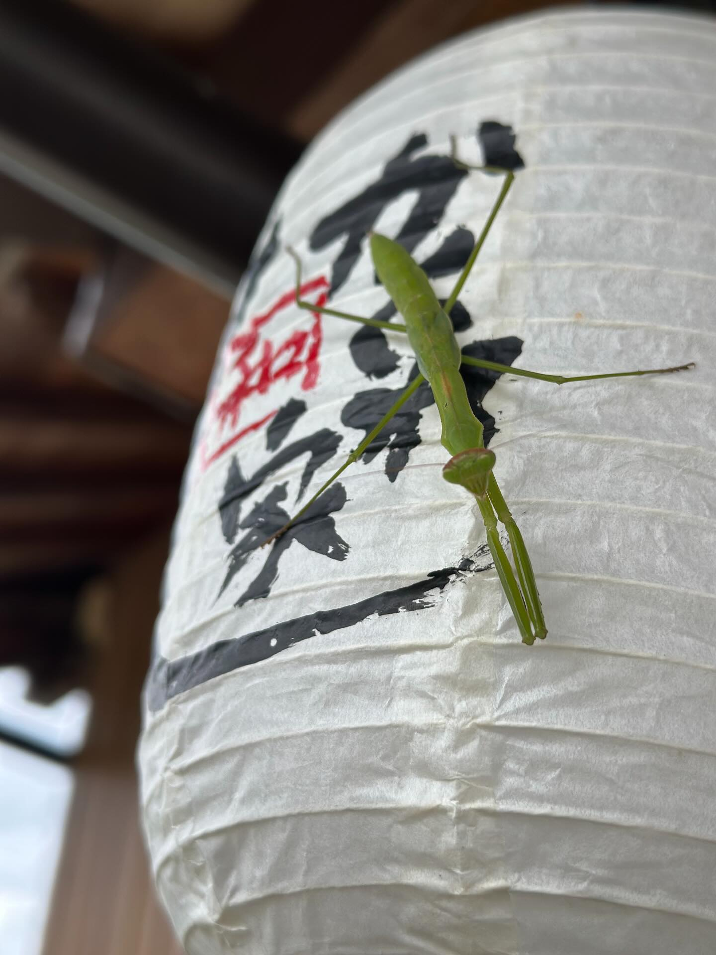 タイ古式マッサージ｢かくれ家 和｣です