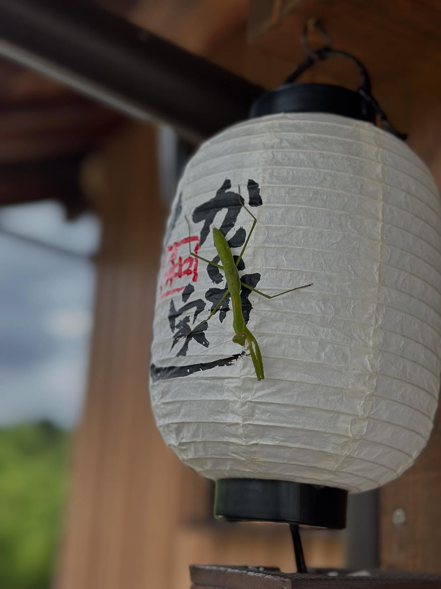タイ古式マッサージ｢かくれ家 和｣です
