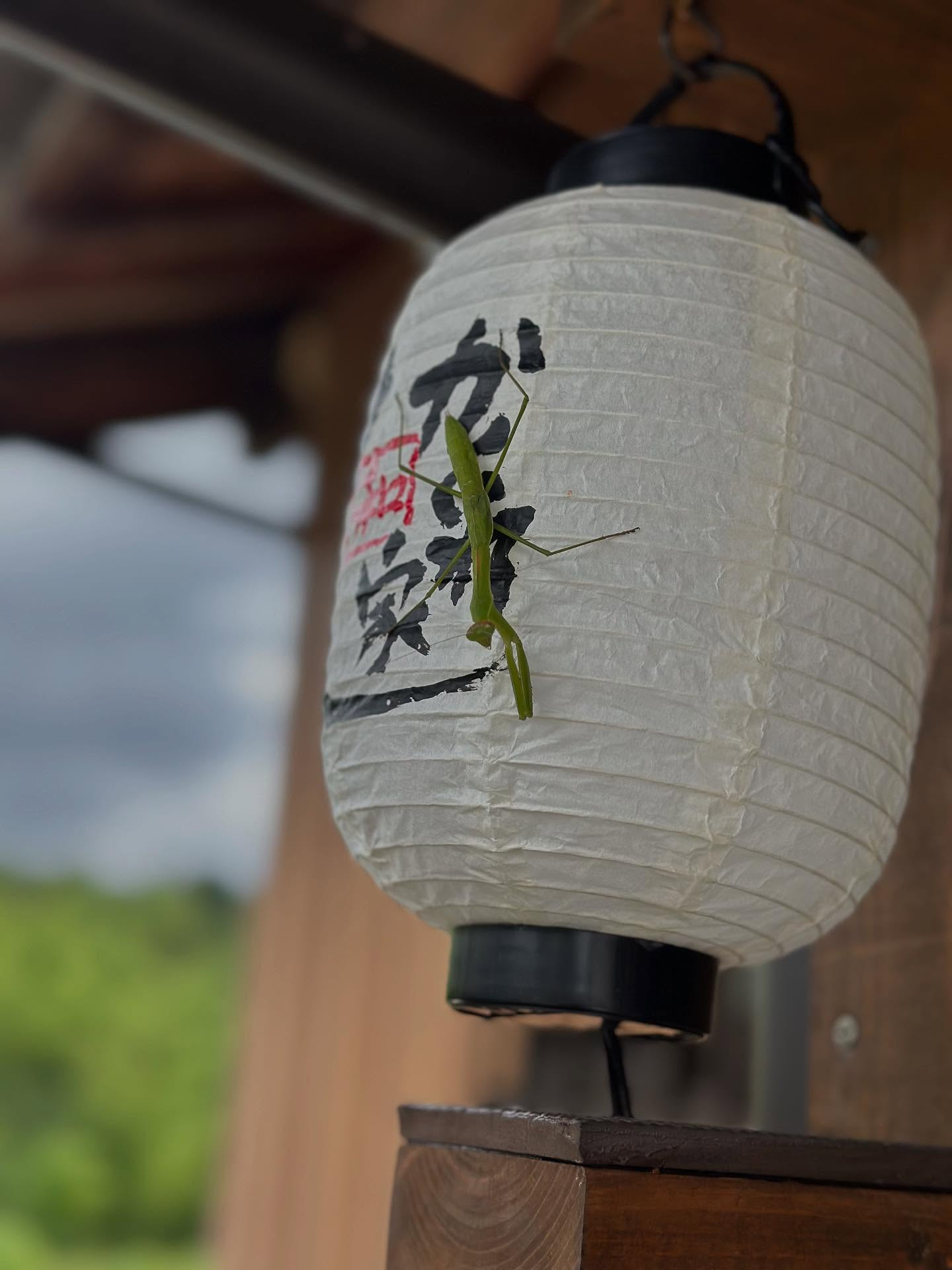 タイ古式マッサージ｢かくれ家 和｣です