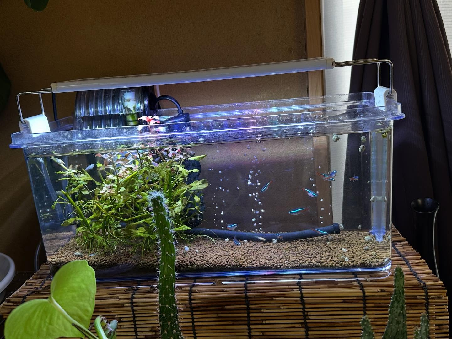 タイ古式マッサージ「かくれ家 和」です