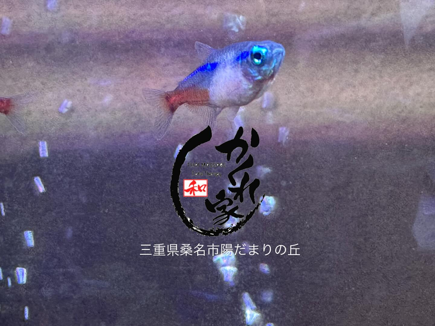 タイ古式マッサージ「かくれ家 和」です