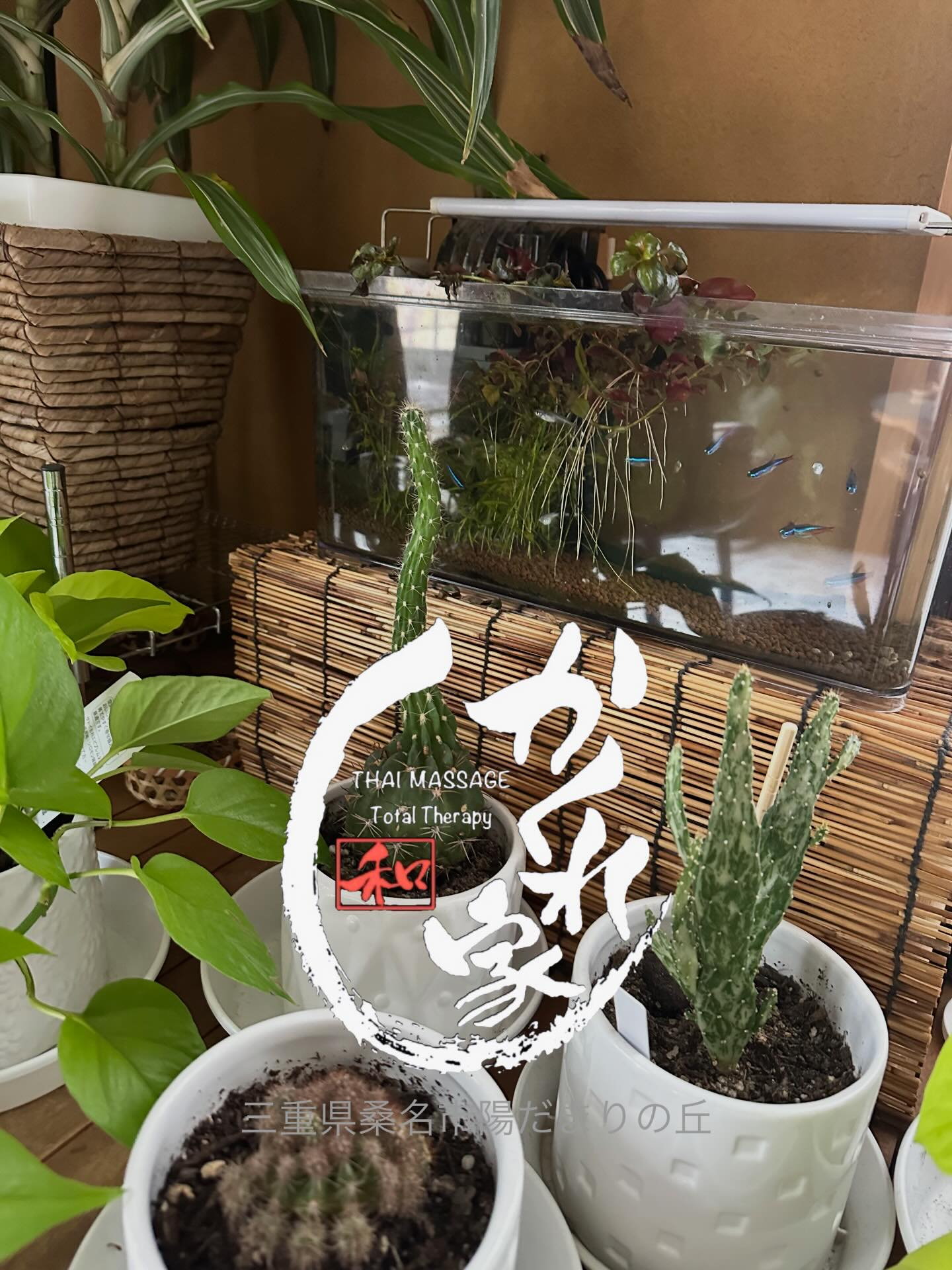 タイ古式マッサージ「かくれ家 和」です