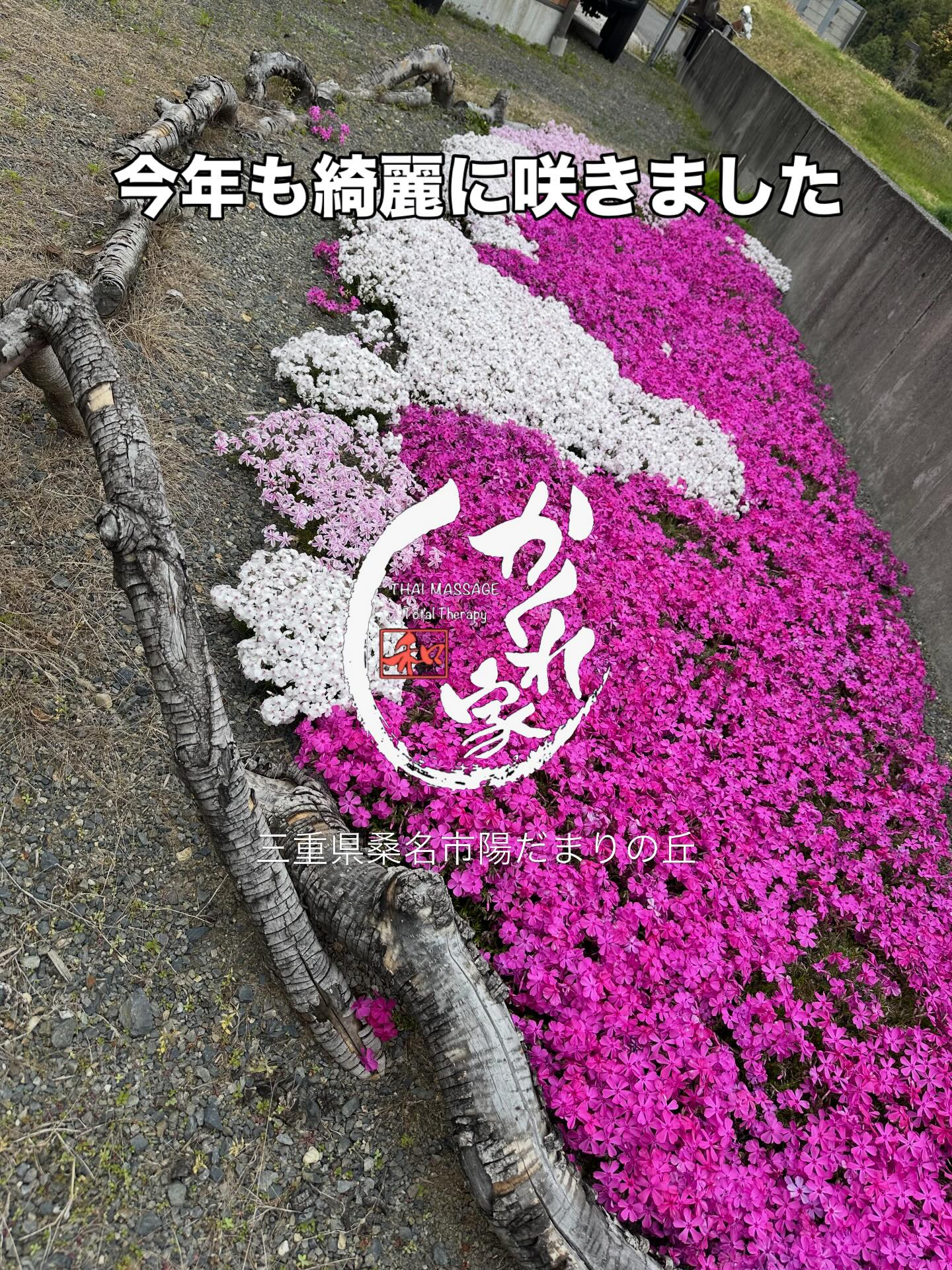 🌸タイ古式マッサージ「かくれ家 和」🌸