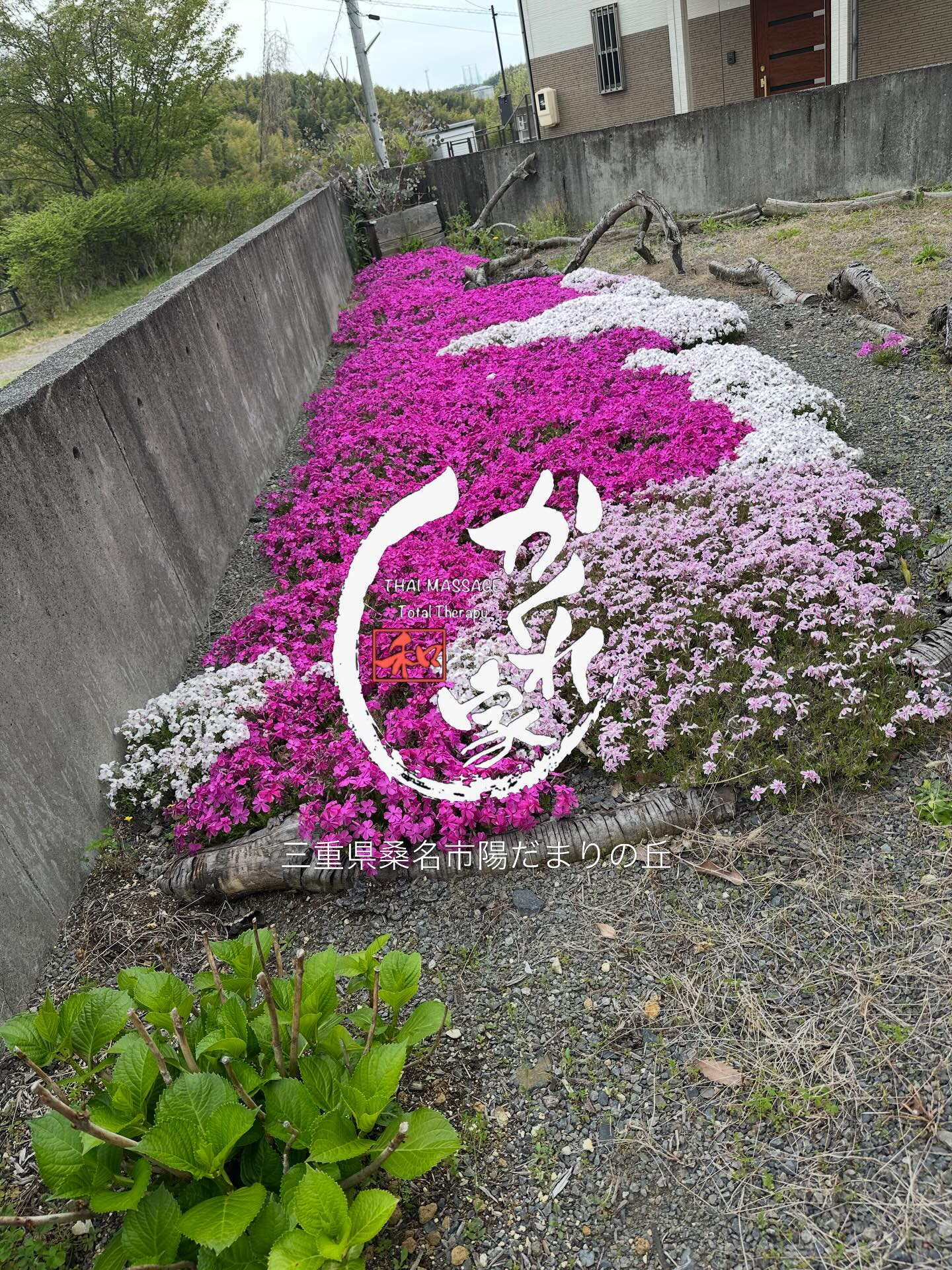 🌸タイ古式マッサージ「かくれ家 和」🌸