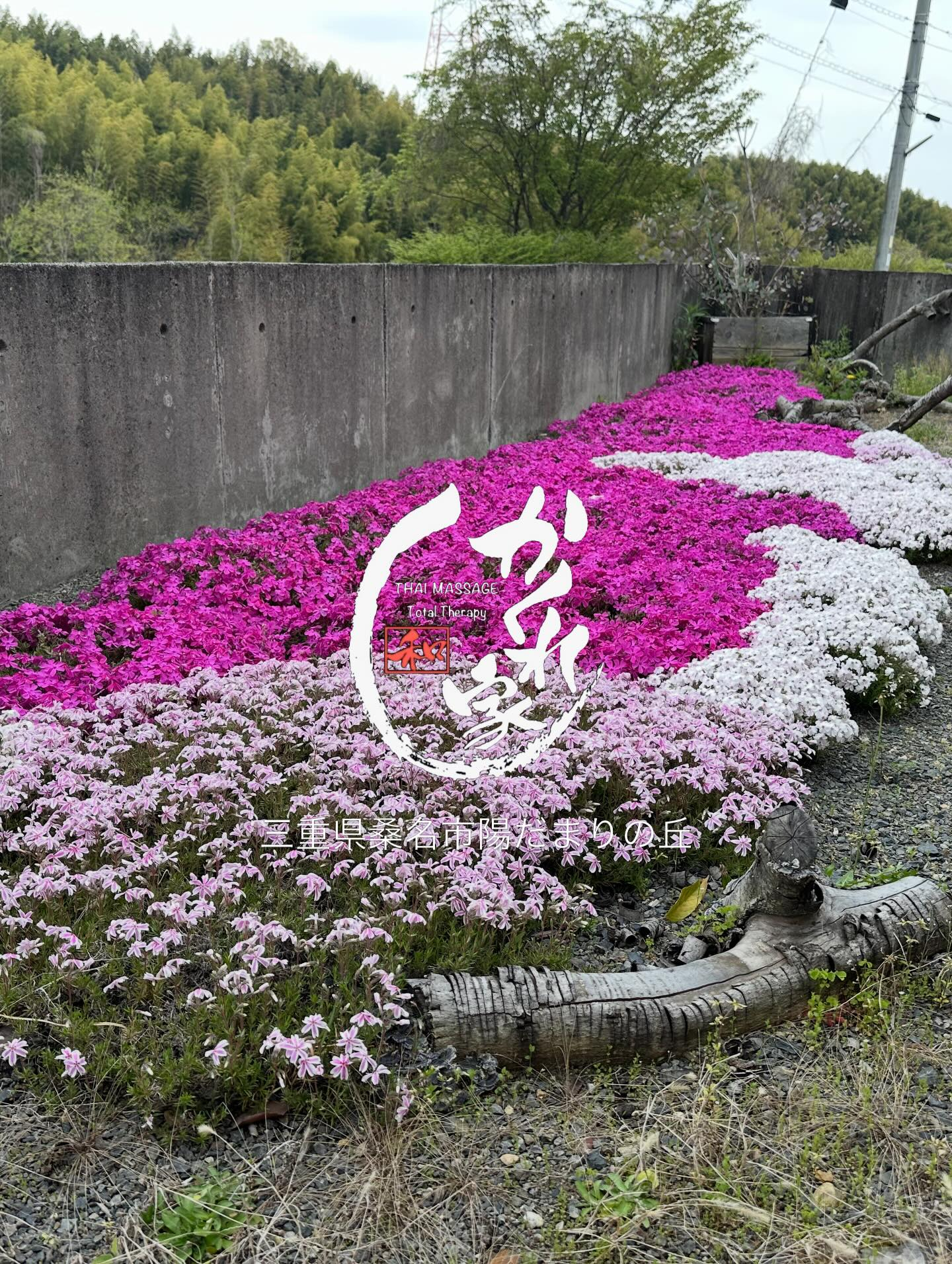 🌸タイ古式マッサージ「かくれ家 和」🌸