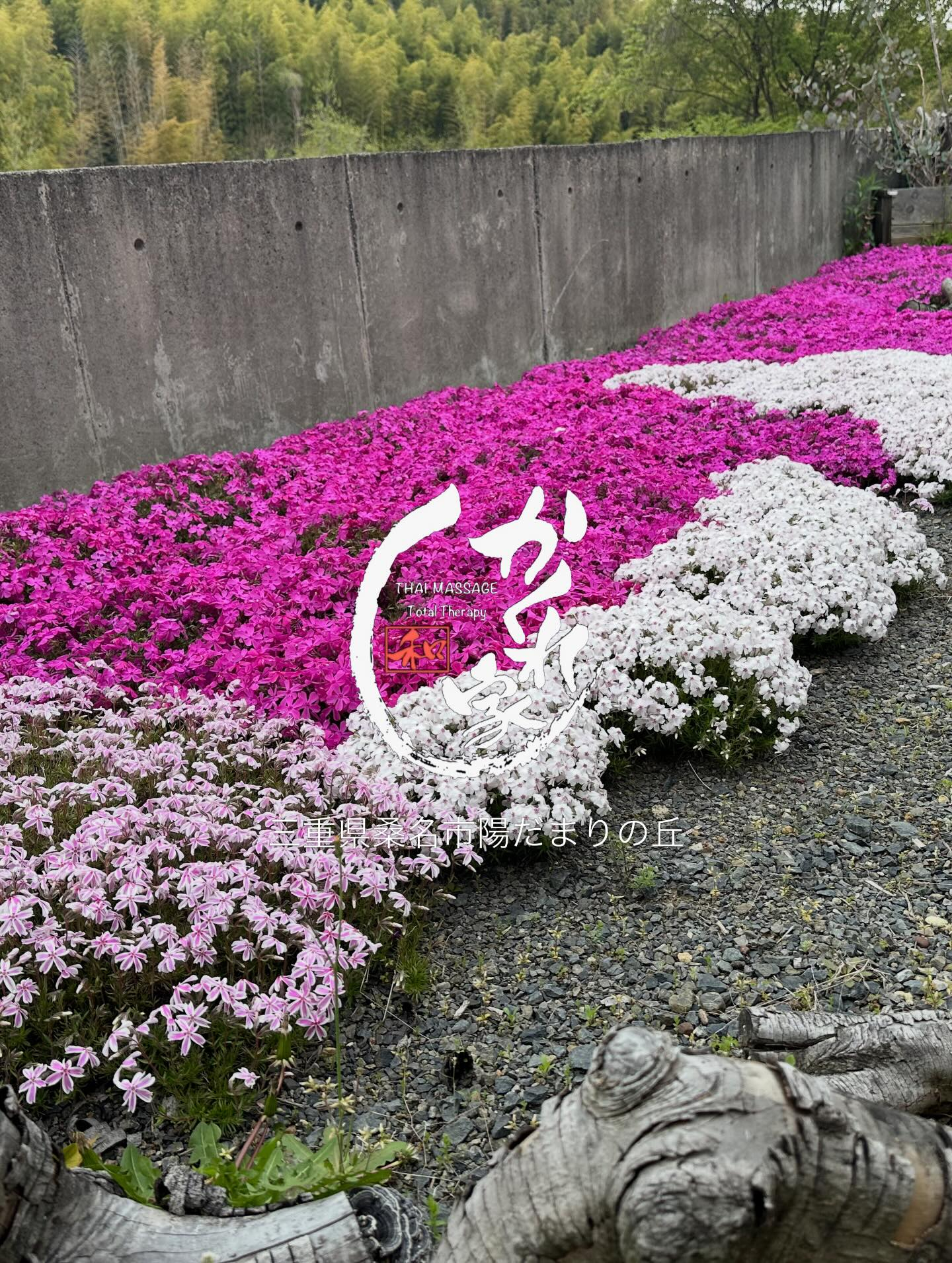 🌸タイ古式マッサージ「かくれ家 和」🌸