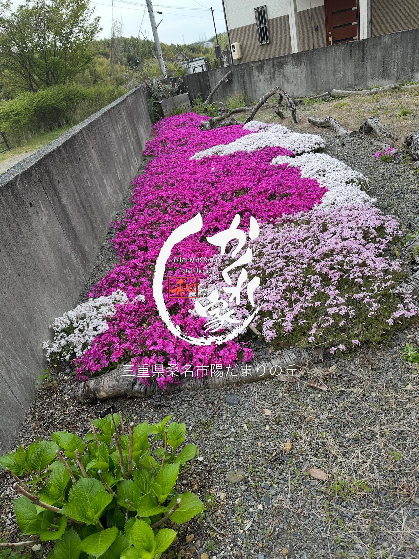 🌸タイ古式マッサージ「かくれ家 和」🌸