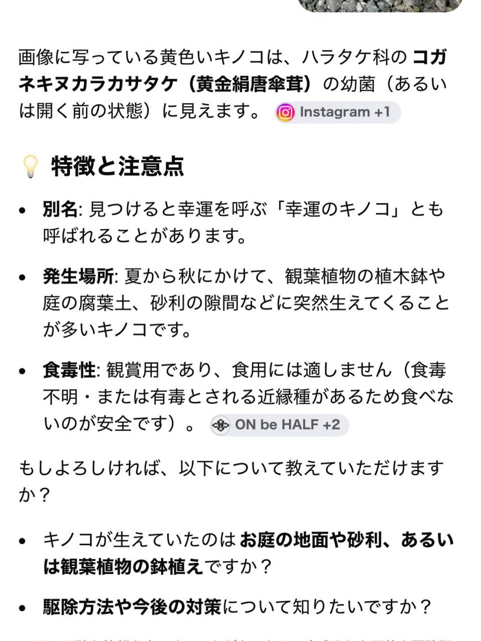 タイ古式マッサージ「かくれ家 和」です