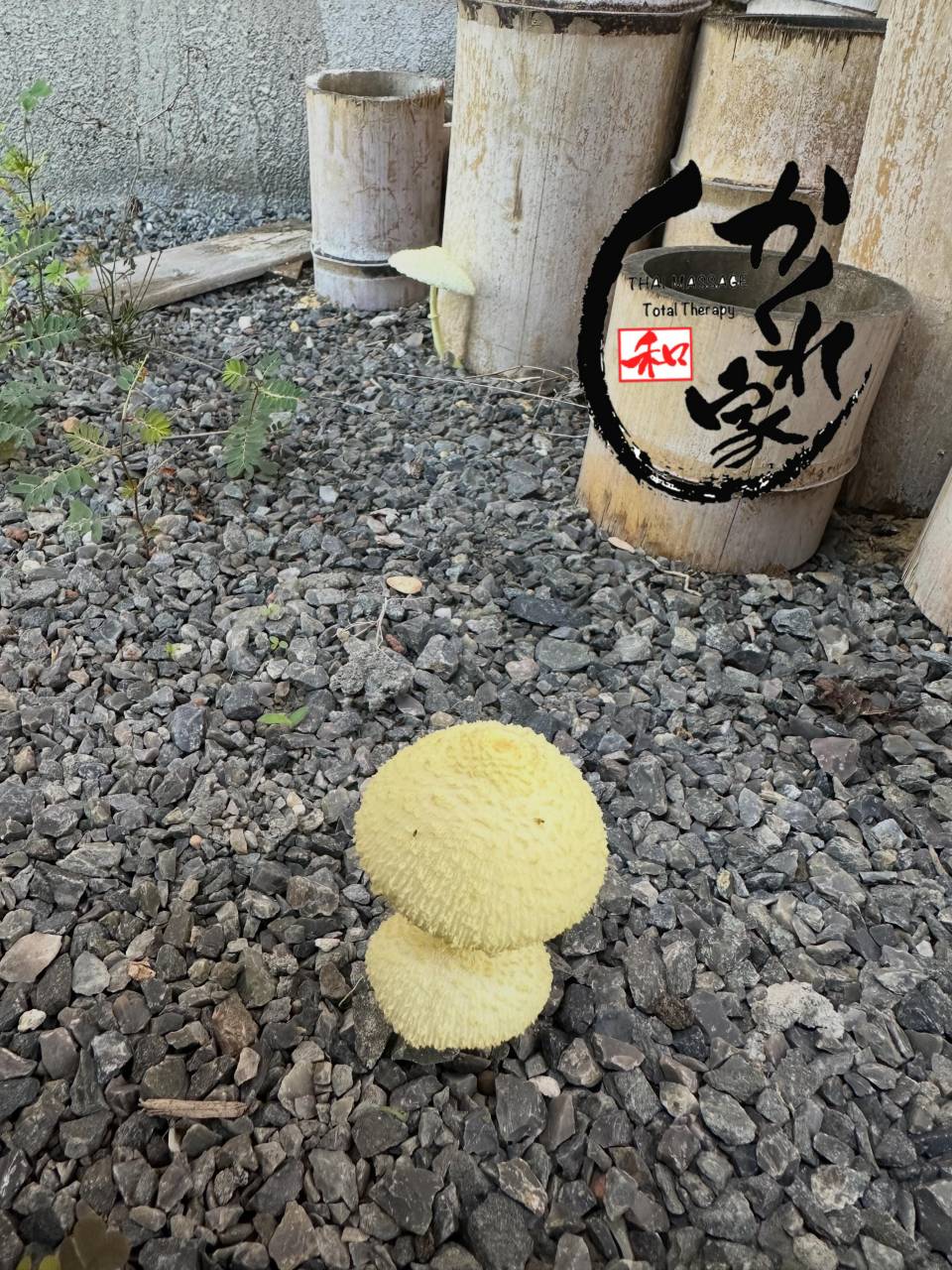 タイ古式マッサージ「かくれ家 和」です