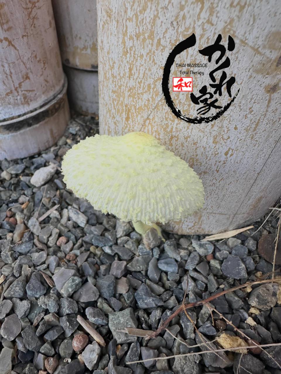 タイ古式マッサージ「かくれ家 和」です